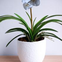 9 Plantas Artificiais de Folhas de Orquídeas 50cm em Silicone Realista para Arranjos Luxos DE3224
