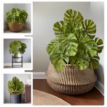 9 Plantas Artificiais Premium Costela de Adão Folhas em Silicone para Arranjos Vasos e Decoração de Jardim - DE1625 9 Plantas Artificiais Premium Costela de Adão Folhas em Silicone para Arranjos Vasos e Decoração de Jardim - DE1625