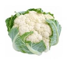 90 Sementes De Couve Flor Bola De Neve