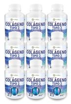 9x Colágeno Tipo 2 40mg 120 Cápsulas Tree of Life