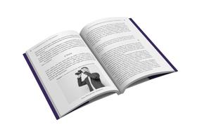 A ambidestria do orçamento: descubra como o orçamento pode melhorar a eficiência competitiva e estimular a inovação