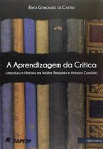 A Aprendizagem da Crítica. Literatura e História em Walter Benjamin e Antonio Candido