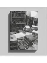 A biblioteca infinita de serguei eisenstein the endless library of sergei eisenstein A biblioteca infinita de serguei eisenstein the endless library of sergei eisenstein
