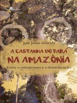 A castanha do pará na amazônia A castanha do pará na amazônia