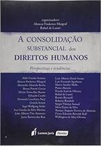 A Consolidação Substancial dos Direitos Humanos - Lumen Juris