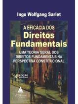 A eficácia dos direitos fundamentais - 2024