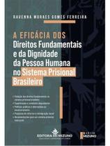 A eficácia dos direitos fundamentais e da dignidade da pessoa humana no sistema prisional brasileiro A eficácia dos direitos fundamentais e da dignidade da pessoa humana no sistema prisional brasileiro