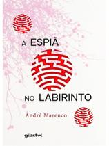 A espiã no labirinto A espiã no labirinto