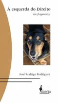 À ESQUERDA DO DIREITO: EM FRAGMENTOS -