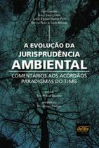 A evolução da jurisprudência ambiental: comentários aos acórdãos paradigmas do TJMG - DEL REY