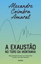 A Exaustão No Topo Da Montanha