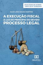 A execução fiscal à luz do princípio do devido processo legal