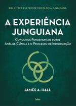 A Experiência Junguiana - Conceitos Fundamentais Sobre Análise Clínica e o Processo de Individuação A Experiência Junguiana - Conceitos Fundamentais Sobre Análise Clínica e o Processo de Individuação