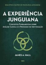 A Experiência Junguiana - Conceitos Fundamentais Sobre Análise Clínica E O Processo De Individuação