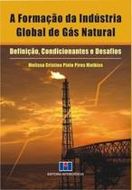 A Formação da Indústria Global de Gás Natural: Definição, Condicionantes e Desafios