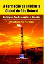 A Formação da Indústria Global de Gás Natural: Definição, Condicionantes e Desafios