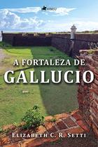 A Fortaleza de Gallucio - Viseu