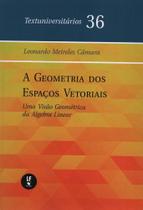 A geometria dos espaços vetoriais: uma visão geométrica da álgebra linear