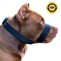 A Melhor Focinheira Do Mercado Pet Para Cachorro Cão Pitbull