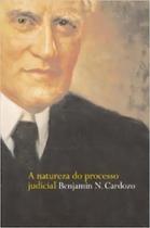 A Natureza do Processo Judicial - 01Ed/04 Sortido