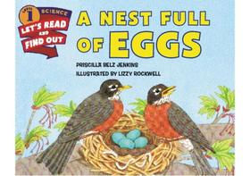 A nest full of eggs A nest full of eggs
