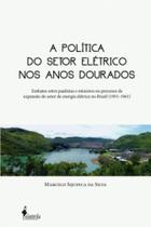 A política do setor elétrico nos anos dourados: embates entre paulistas e mineiros no processo de expansão do setor de energia elétrica no brasil (1951-1961) A política do setor elétrico nos anos dourados: embates entre paulistas e mineiros no processo de expansão do setor de energia elétrica no brasil (1951-1961)