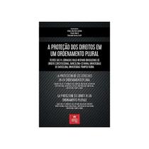 A proteção dos direitos em um ordenamento plural A proteção dos direitos em um ordenamento plural