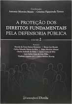 A Proteção dos Direitos Fundamentais pela Defensoria Pública - Vol 2 - Lumen Juris