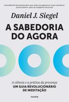 A Sabedoria Do Agora: a Ciência e a Prática Da Presença - Um Guia Revolucionário De Meditação - PAIDOS