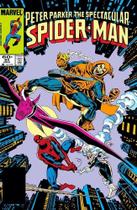 A saga do homem-aranha 22