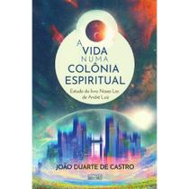 A Vida Numa Colônia Espiritual - Eme