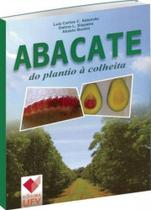 Abacate - do plantio á colheita
