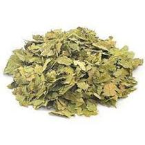 Abacate em Folhas para Chá Total Food Pacote 500 grs Abacate em Folhas para Chá Total Food Pacote 500 grs