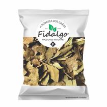 Abacateiro Folhas Chá Com Laudo De Qualidade 500g 300g Abacateiro Folhas Chá Com Laudo De Qualidade 500g 300g