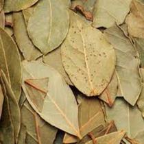 Abacateiro Folhas Persea gratissima G.LondriNutri 250g