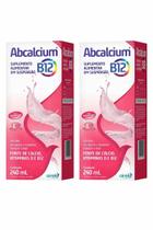 Abcalcium Vitamina B12, D & Cálcio Airela 240 ml - Kit 2 Un Abcalcium Vitamina B12, D & Cálcio Airela 240 ml - Kit 2 Un