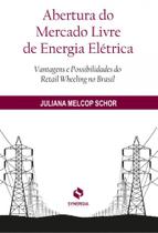 Abertura do Magalu Marketplace de Energia Elétrica. Vantagens e Possibilidades do Retail Wheeling - Synergia