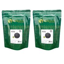 Abóbora Cabotiá Híbrida Kanda Tetsukabuto 2000 Sementes Horticeres Abóbora Cabotiá Híbrida Kanda Tetsukabuto 2000 Sementes Horticeres