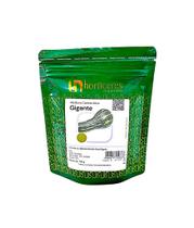 Abóbora Canhão Seca Gigante 100g Horticeres Alta Produtividade Abóbora Canhão Seca Gigante 100g Horticeres Alta Produtividade