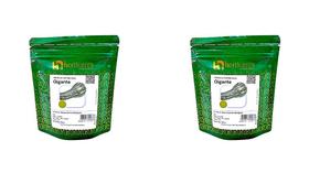 Abóbora Canhão Seca Gigante 100g Vigorosa P/ Climas Quentes 2 Unidades Abóbora Canhão Seca Gigante 100g Vigorosa P/ Climas Quentes 2 Unidades