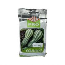 Abóbora Goianinha - 50gramas de Sementes Abóbora Goianinha - 50gramas de Sementes