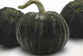 Abobora Hibrida Tetsukabuto F1 - 10gr De Sementes