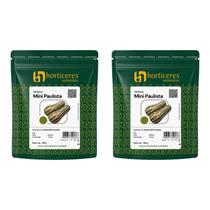 Abóbora Mini Paulista Horticeres Sementes 200g Para Hortas Caseiras Abóbora Mini Paulista Horticeres Sementes 200g Para Hortas Caseiras