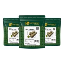 Abóbora Mini Paulista Horticeres Sementes 300g Para Hortas Caseiras Abóbora Mini Paulista Horticeres Sementes 300g Para Hortas Caseiras