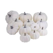 Abóboras Brancas Antigas 12 Peças De Tamanhos Diferentes Decorações De Halloween Outono Ação De Abóboras Brancas Antigas 12 Peças De Tamanhos Diferentes Decorações De Halloween Outono Ação De