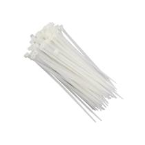 Abraçadeira 2,5x100mm Branca (Kit 100) Abraçadeira 2,5x100mm Branca (Kit 100)