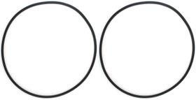 Abraçadeira O-Ring AppliaFit Compatível com Pentair 39010200 (Pacote com 2)