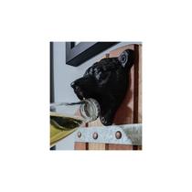 Abridor de cerveja de parede Iron Bear Head F 304g para abridor de garrafas