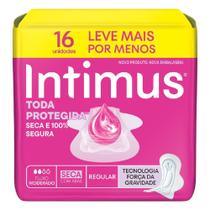 Absorvente Intimus Toda Protegida Dia Seca Com Abas 16 Unidades