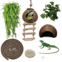 Accesorios para Terrario de Lagarto kathson Decoración Hábitat 6PCS